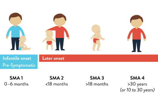 Are there different types of SMA?